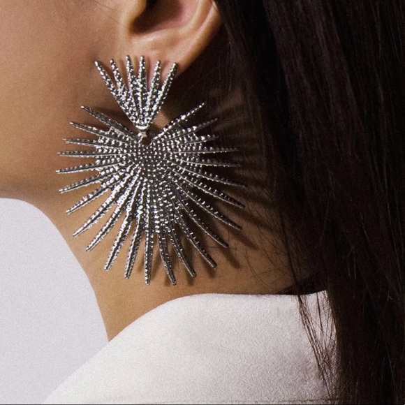 Jewelry - White gold plated Big earrings